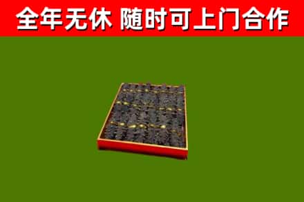 易县烟酒回收海参.jpg